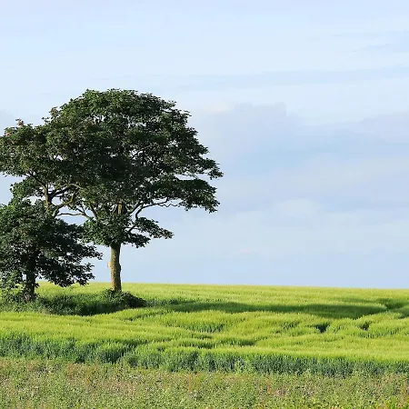 Yerborough